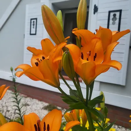 Bed & Breakfast Czary Mary