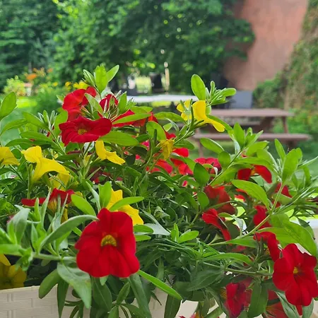 Bed & Breakfast Czary Mary Bardo