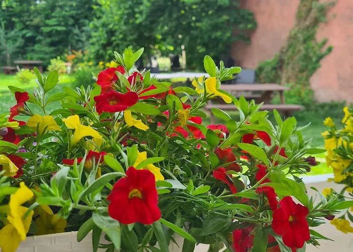 Frühstückspension Czary Mary Bardo