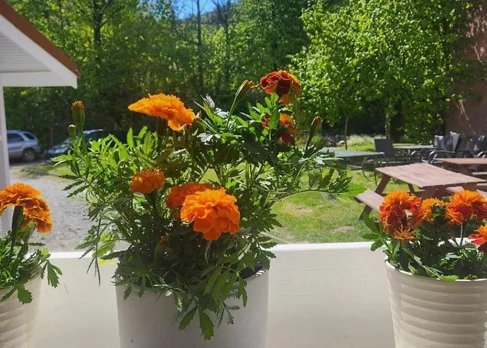 Frühstückspension Czary Mary